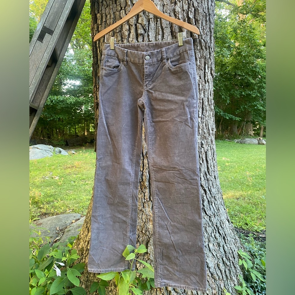 J Crew Grey corduroy pants